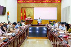 Triển khai nhiệm vụ công tác nội chính; phòng, chống tham nhũng, lãng phí, tiêu cực và cải cách tư pháp tháng 6/2026