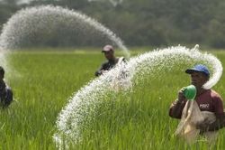 Ngành phân bón thế giới gặp khó