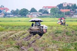 Lâm Thao khơi thông nguồn lực, tạo đột phá để tăng trưởng nhanh và bền vững