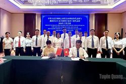 Hội đàm giữa Sở Công thương tỉnh Tuyên Quang và Cục Thương vụ châu Văn Sơn
