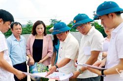 Khảo sát công tác bồi thường, giải phóng mặt bằng tại phường Bách Quang