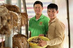 Khởi nghiệp từ rơm