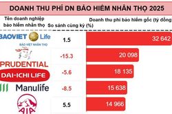 Thị trường bảo hiểm nhân thọ 'sáng dần', song nhiều doanh nghiệp lợi nhuận vẫn 'rùa bò'