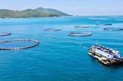 Hướng tới nông thôn mới xanh và số hóa, Khánh Hòa đẩy mạnh kinh tế tuần hoàn