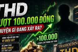 Cổ phiếu THD bứt phá hơn 200%: Dòng tiền đang đánh cược vào điều gì?