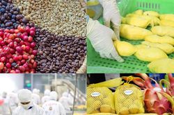 Từ 'Khoán 10' đến kỳ tích đưa nông sản Việt ra thế giới