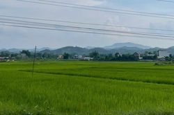 Thời tiết các khu vực trong tỉnh ngày 28/5 sáng nhiều mây, có mưa, mưa rào và dông