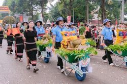 Lễ hội Sầu riêng Đắk Lắk năm 2026 sẽ diễn ra từ 15/8 đến 02/9