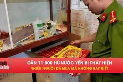 Bóc trần cơ sở yến sào giả, hàng nghìn hũ suýt bán ra thị trường
