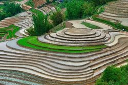 Ngắm vẻ đẹp bình yên của ruộng bậc thang Tả Van mùa nước đổ