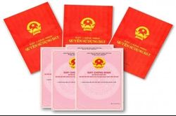 TP.HCM hướng dẫn cấp giấy chứng nhận cho nhiều loại giấy tờ nhà đất cũ