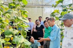 Hà Nội: Đồng hành cùng nông dân trong ứng dụng khoa học công nghệ, phát triển kinh tế nông nghiệp