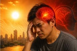 Tác động của nắng nóng tới não bộ: Dấu hiệu cảnh báo và cách phòng ngừa