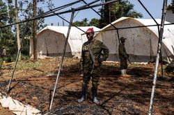 Dịch Ebola diễn biến xấu đi, WHO kêu gọi ngưng bắn tại CHDC Congo