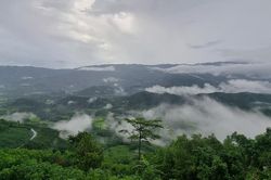 Nỗ lực giảm phát thải và phát triển kinh tế xanh
