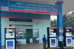 Gia Lai: Kiểm tra, giám sát trước lộ trình triển khai kinh doanh xăng E10