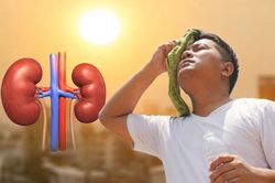 Cơ thể thiếu nước giữa nắng nóng, thận có thể chịu tổn thương nghiêm trọng