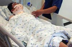 Hiệu trưởng phải công khai số đường dây nóng để ngừa bạo lực học đường