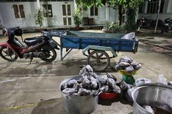 Bắt giữ người vận chuyển 127 kg thằn lằn núi Bà Đen đi tiêu thụ