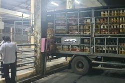 Chặn đứng hai tấn vịt lậu, triệt phá lò mổ heo trái phép giữa TP.HCM