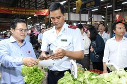 Thu giữ 15 tấn da lợn, x&uacute;c x&iacute;ch... kh&ocirc;ng r&otilde; nguồn gốc