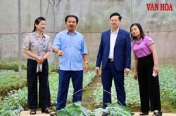 Thái Nguyên mở rộng không gian du lịch từ những nông trại trải nghiệm