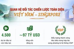 [Infographic] Quan hệ Đối tác chiến lược toàn diện Việt Nam-Singapore