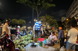 Trồng c&acirc;y... lo ng&agrave;y h&aacute;i quả