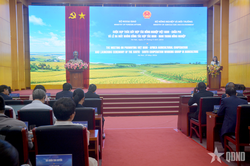 Thúc đẩy hợp tác nông nghiệp Việt Nam - châu Phi
