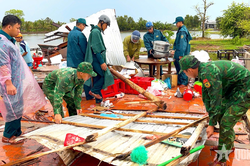 Cà Mau: Đồn Biên phòng Khánh Tiến giúp người dân khắc phục hậu quả thiên tai