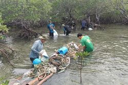 Chung tay vì hòn đảo 'không rác nhựa'