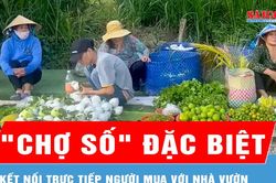 Đồng Tháp hỗ trợ nông dân đưa nông sản vào 'chợ số'