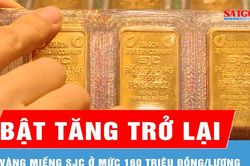 Giá vàng trong nước bật tăng trở lại, tái lập mốc 160 triệu đồng/lượng