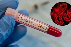 Số ca mắc và tử vong do Ebola gia tăng, công tác truy vết gặp nhiều khó khăn