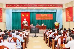 Chính quyền địa phương 2 cấp tại Đồng Tháp vận hành ổn định, thông suốt