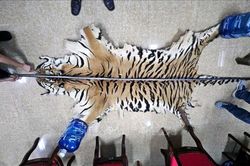 Không chỉ là bảo vệ đa dạng sinh học...