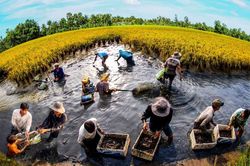 Sản xuất thuận thiên - mô hình thích ứng với biến đổi khí hậu