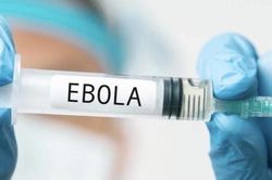 Bộ Y tế đánh giá nguy cơ bệnh Ebola xâm nhập vào nước ta hiện ở mức thấp