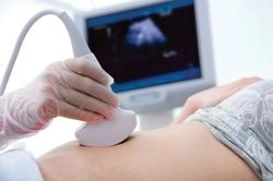 Phát triển y học bào thai thành ngành mũi nhọn của y tế Việt Nam