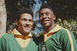 Lịch sử World Cup 1962: Người thay thế 'Vua bóng đá' giữ ngai vàng