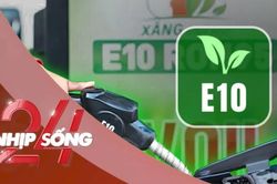 NHỊP SỐNG 24: Bộ Công Thương thông tin chính thức trường hợp nếu xe hư do sử dụng xăng E10