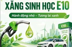 Hải Phòng: 100% cửa hàng bán xăng E10 từ ngày 1/6