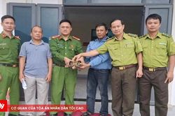 Người dân tự nguyện giao nộp rùa núi viền quý hiếm