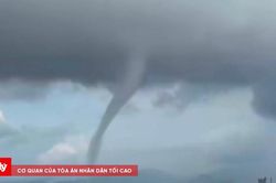 Bất ngờ xuất hiện v&ograve;i rồng tr&ecirc;n vịnh Cửa Lục