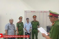 Khởi tố, tạm giam tài xế vi phạm nồng độ cồn gây tai nạn chết người