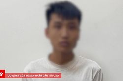 Bắt đối tượng truy n&atilde; nguy hiểm đang lẩn trốn tại nước ngo&agrave;i