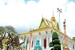 Ngôi cổ tự 3 thế kỷ là 'mái nhà' của đàn chim trời
