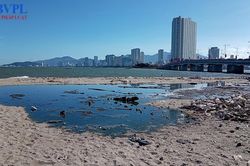 Khánh Hòa chỉ đạo xử lý nguồn xả thải gây ô nhiễm môi trường vịnh Nha Trang