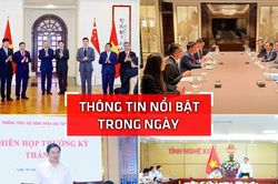 Nghệ An: Thông tin nổi bật ngày 29/5