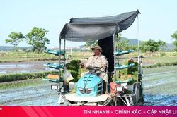 Hà Tĩnh mở rộng mô hình lúa thâm canh cải tiến gắn với giảm phát thải
